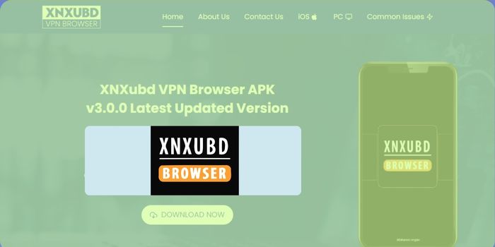 Xnxubd VPN Browser apk